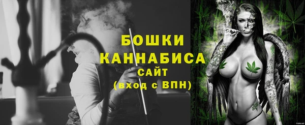 шишки Горно-Алтайск