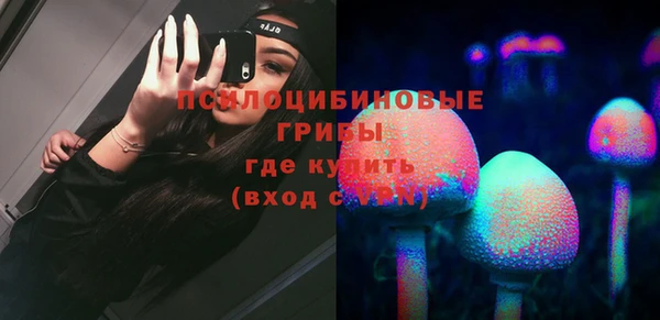 ГАЛЛЮЦИНОГЕННЫЕ ГРИБЫ Горняк