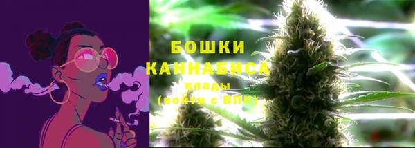 шишки Горно-Алтайск