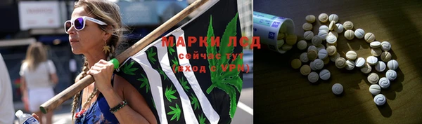 шишки Горно-Алтайск