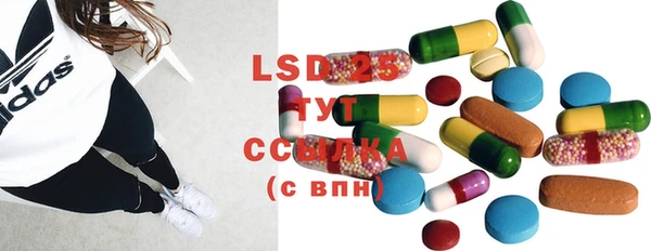 ГАЛЛЮЦИНОГЕННЫЕ ГРИБЫ Горняк