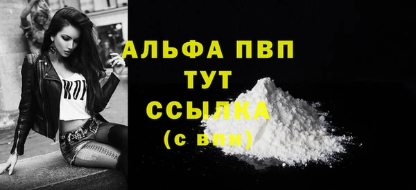 ГАЛЛЮЦИНОГЕННЫЕ ГРИБЫ Горняк