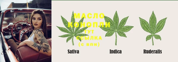 шишки Горно-Алтайск