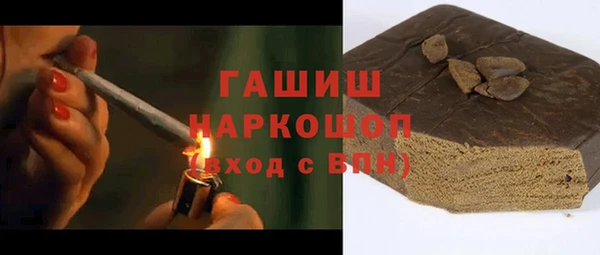 шишки Горно-Алтайск