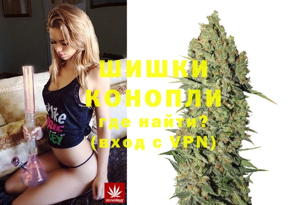 ГАЛЛЮЦИНОГЕННЫЕ ГРИБЫ Горняк