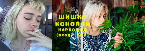 шишки Горно-Алтайск