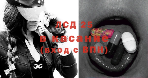 ГАЛЛЮЦИНОГЕННЫЕ ГРИБЫ Горняк
