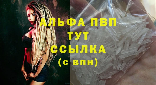 шишки Горно-Алтайск