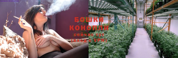 ГАЛЛЮЦИНОГЕННЫЕ ГРИБЫ Горняк