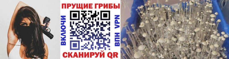 Купить закладки  Серпухов  Галлюциногенные грибы ЛСД 